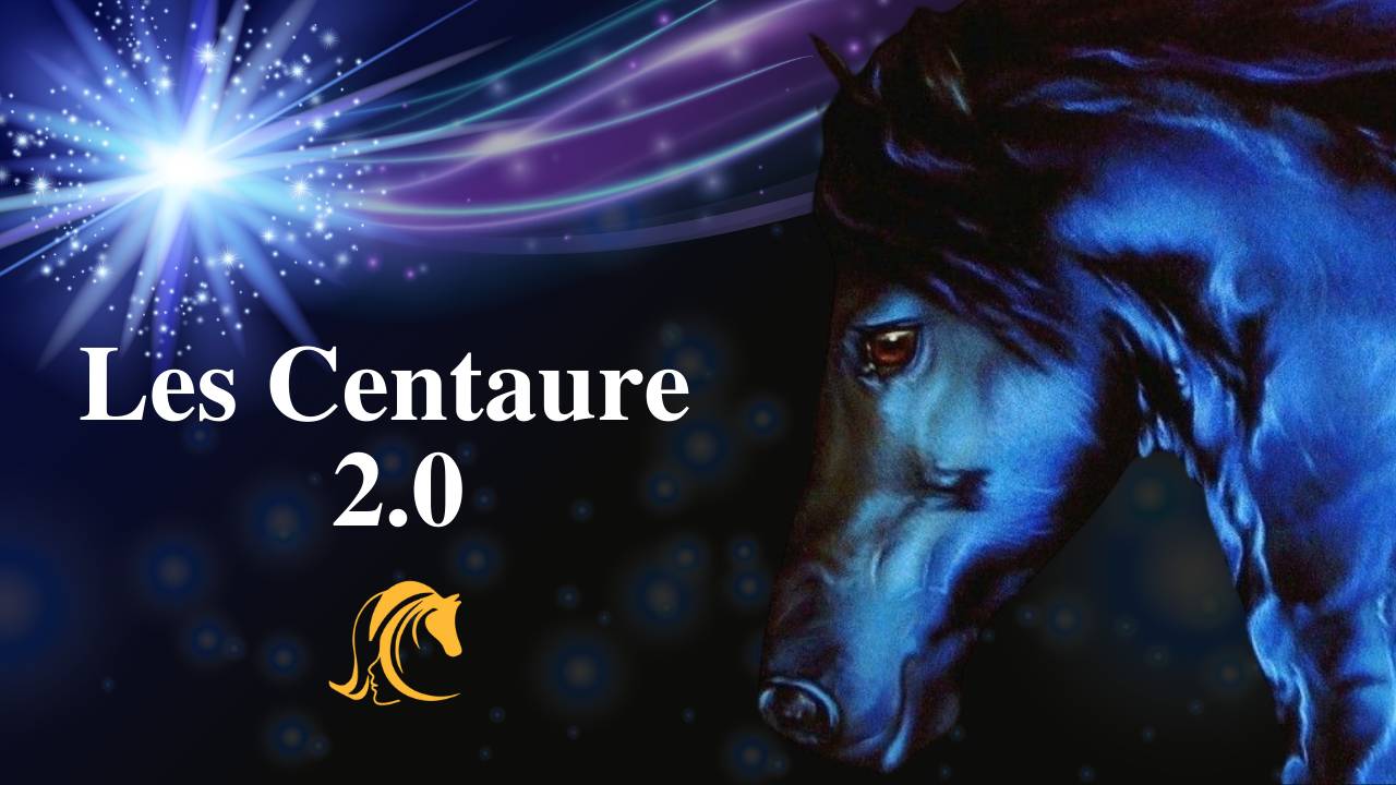 316178-ffd7-8ad3-7d4c-53d08eb8f8d_Vignette_Pro_2.0_4_ (1).jpg