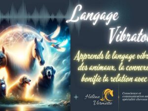 7262e07-dee-221d-a5ab-06584bf8f17_Copie_de_Femmes_Centaures_PRO_820_315_px_ (1).jpg