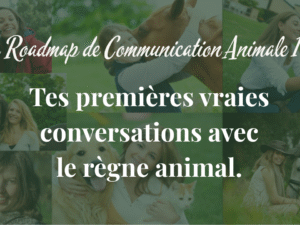 Vignette Masterstudy (4).png