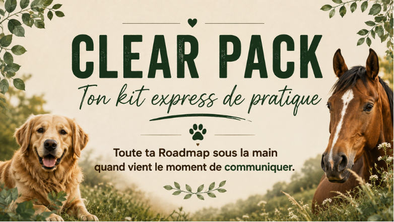 Image page de vente low ticket (8).png